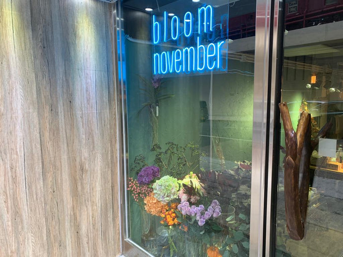 Bloom November Shop is Ready to go!