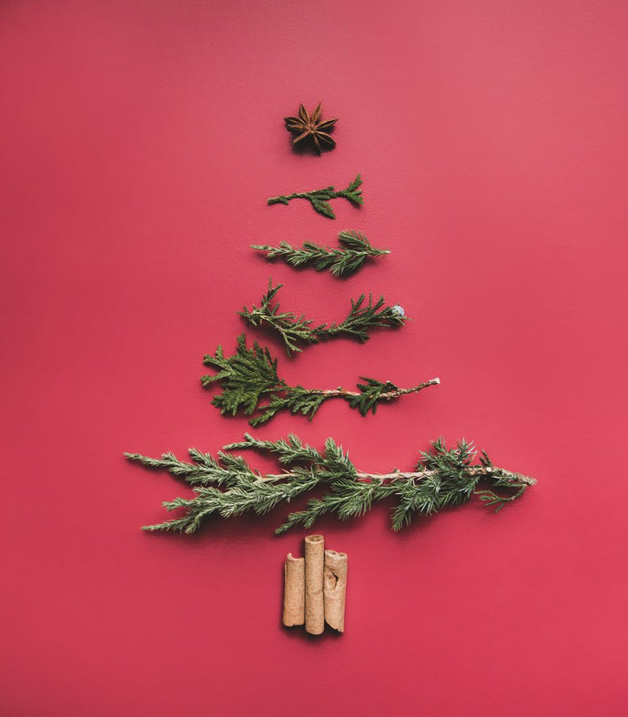 保持聖誕花圈和樹木綠化的小貼士！
