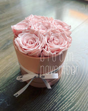 preserved flower pink rose bloom november