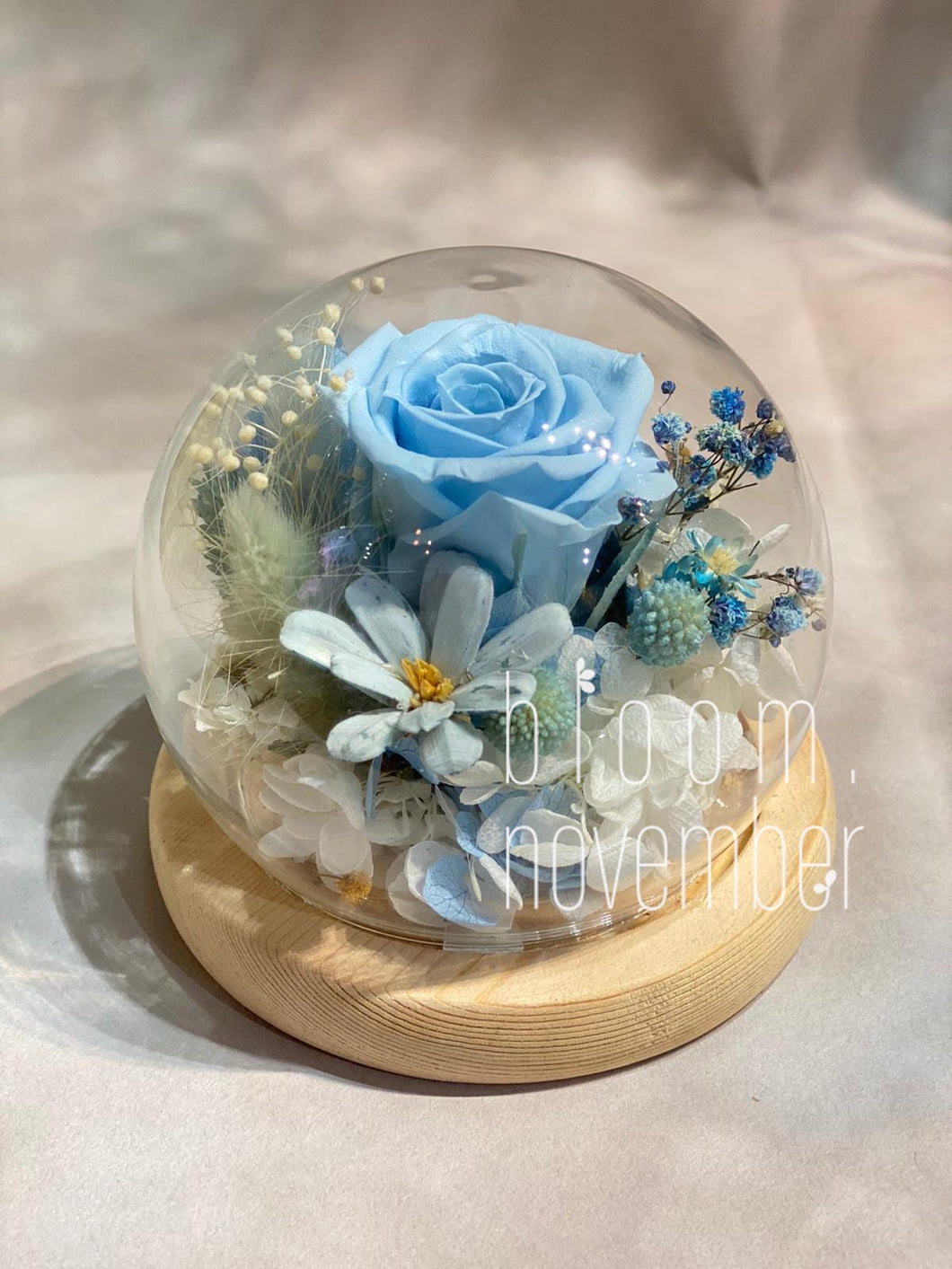 preserved flowers glass dome blue rose bloom november