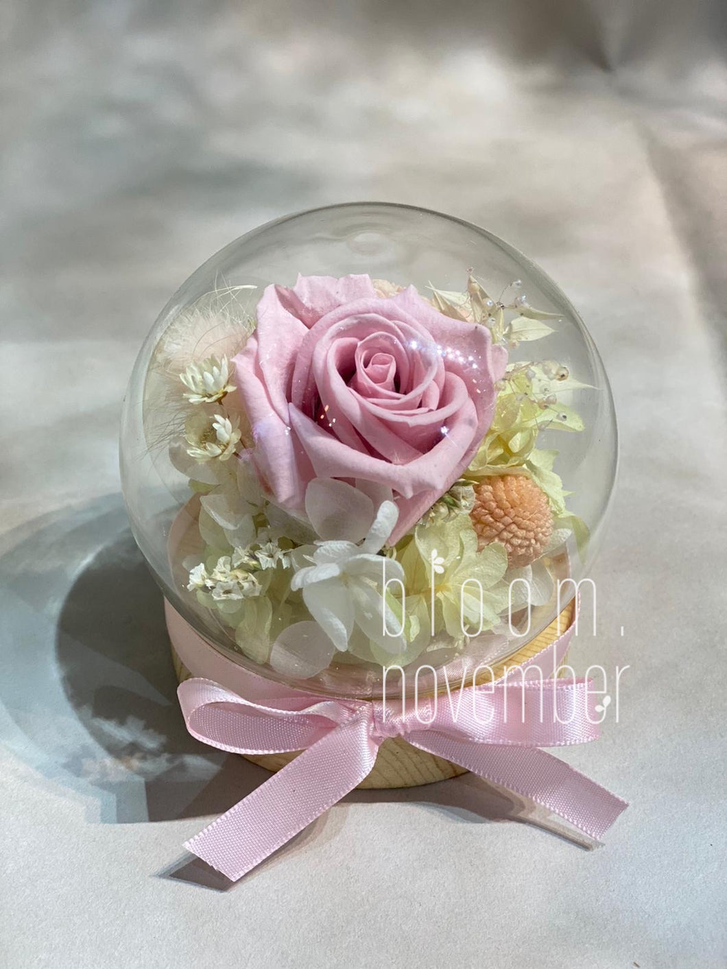 preserved flower light rose in glass dome bloom november